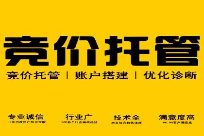 电影宣传中SEM优化师的角色与作用——一则电影营销成功案例